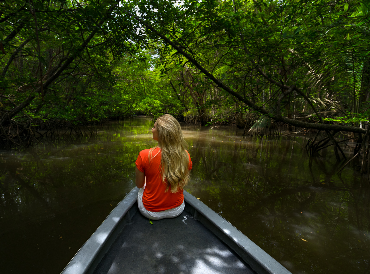 Package Mangrove or Fireflies and Meal 2