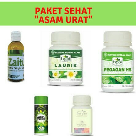 Paket Asam Urat 2