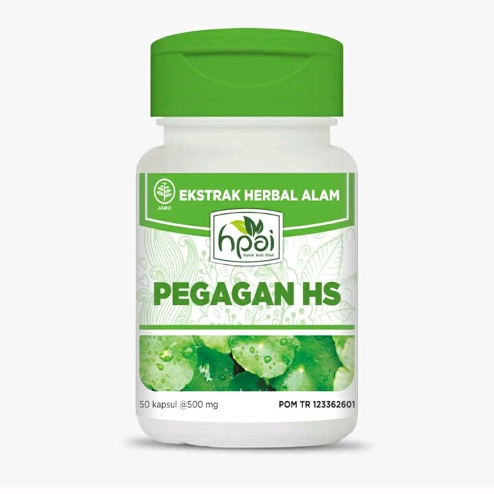 Pegagan HS 2