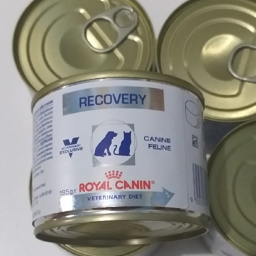 RC Recovery 195 gr 2