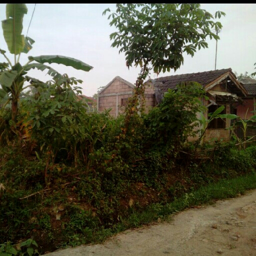 Rumah  2
