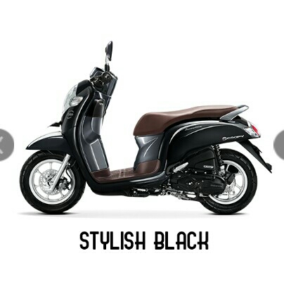 Scoopy Stylish 2