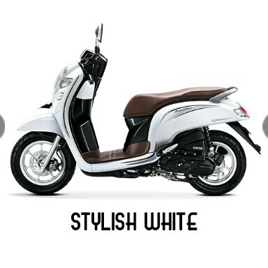 Scoopy Stylish 3