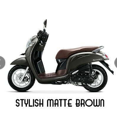 Scoopy Stylish 4