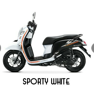 Scoopy Sporty  2