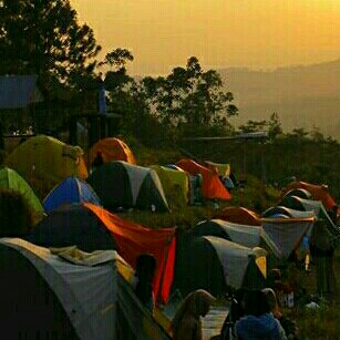 Sewa Tenda 2