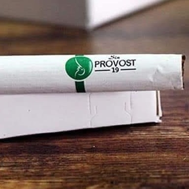 Sin Provost 3