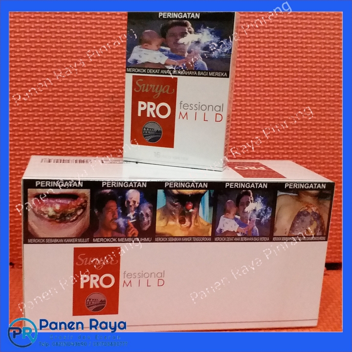 Surya Pro Mild 16 2