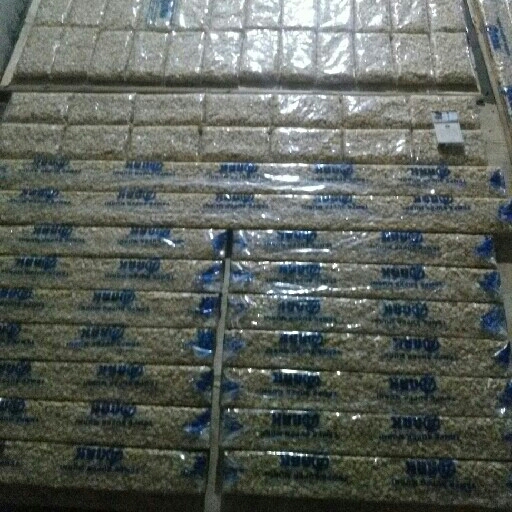 TEMPE PANJANG FULL 3