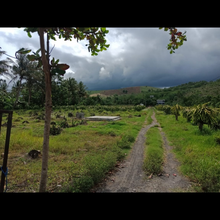 Tanah di Sambalia - Lombok Timur 4