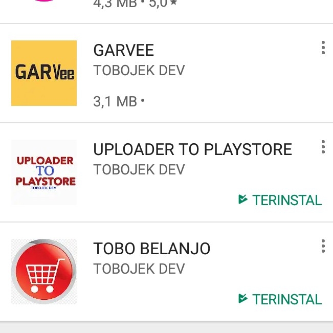 Tobojek Dev  2