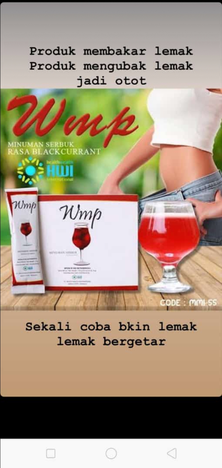 WMP 3