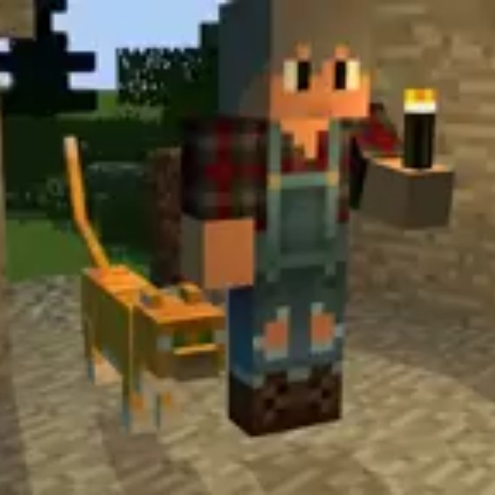 You Tube Minecraft 3