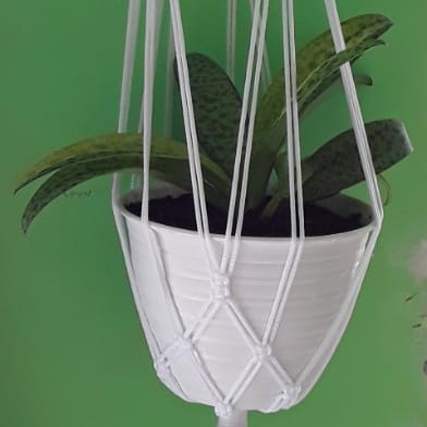 macrame plant hanger 2