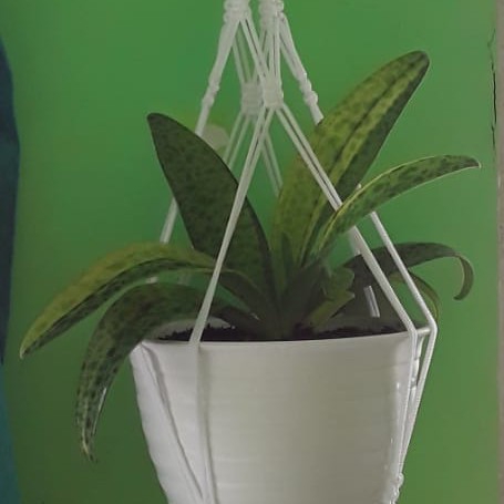 macrame plant hanger 5