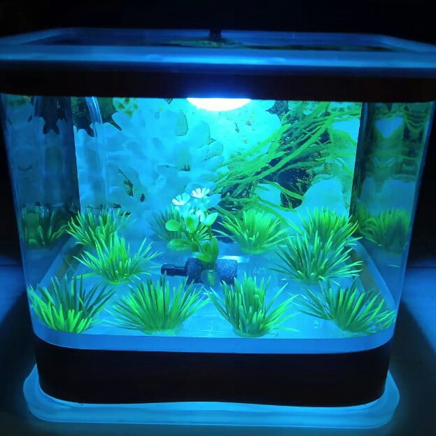 - AQUARIUM MINI MERK - PER UNIT