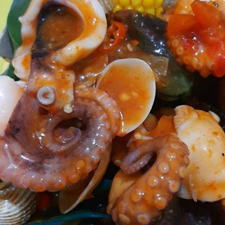 Kerang Gurita