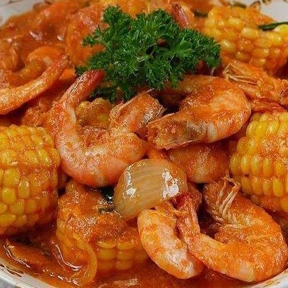 Udang