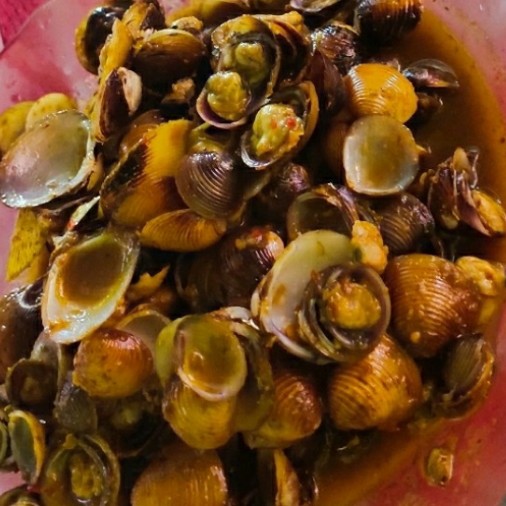 Kerang Pesi