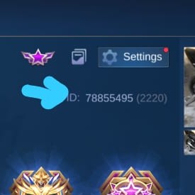 1050 Diamond 2