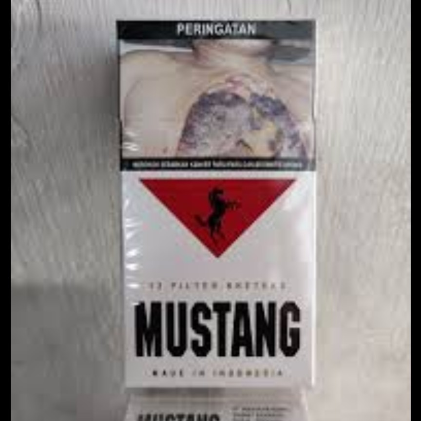 1bks mustang