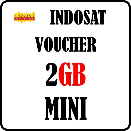 2 GB Mini