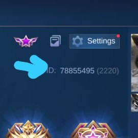 2100 Diamond 2