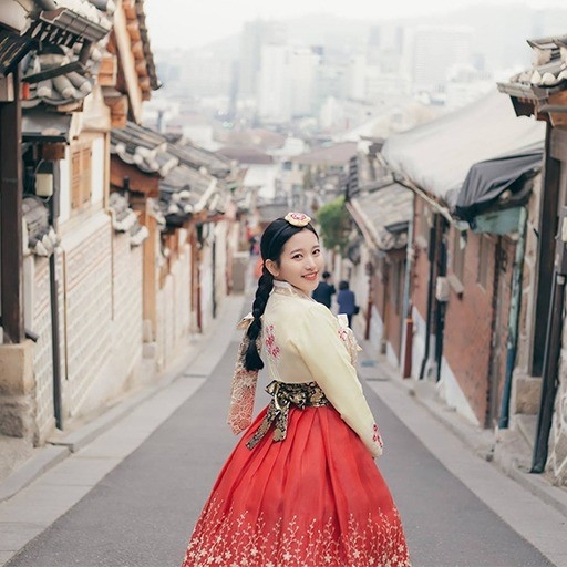 3N5D Spotlight Korea Muslim Cherry Blossom
