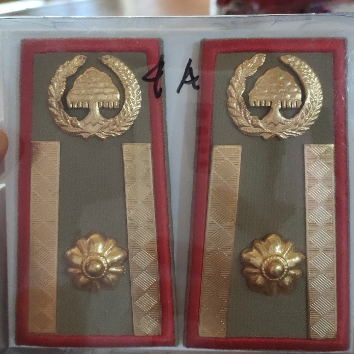 4a Jabatan