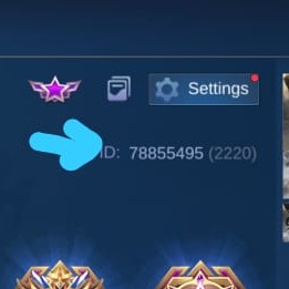 510 Diamond 2