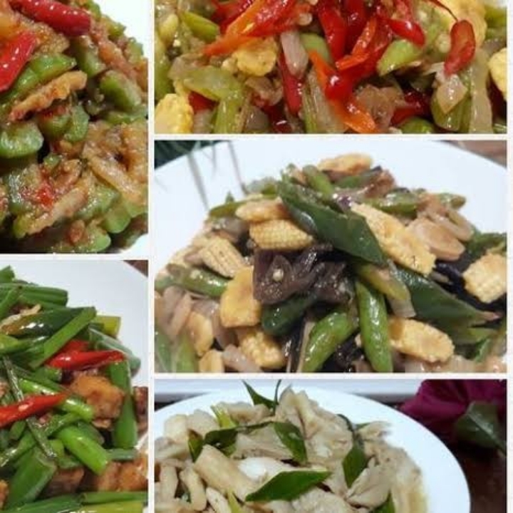 ANEKA TUMIS