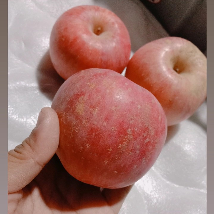 APEL FUJI