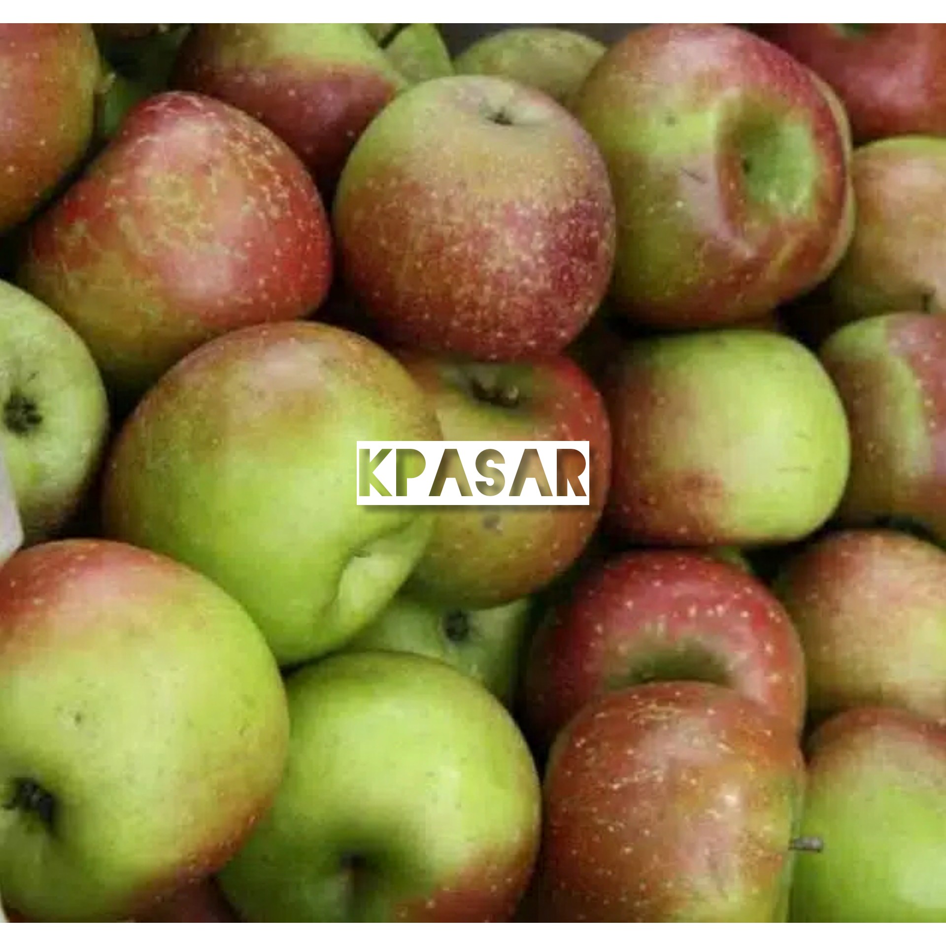 APEL MALANG KEMASAN 500 GRAM 2