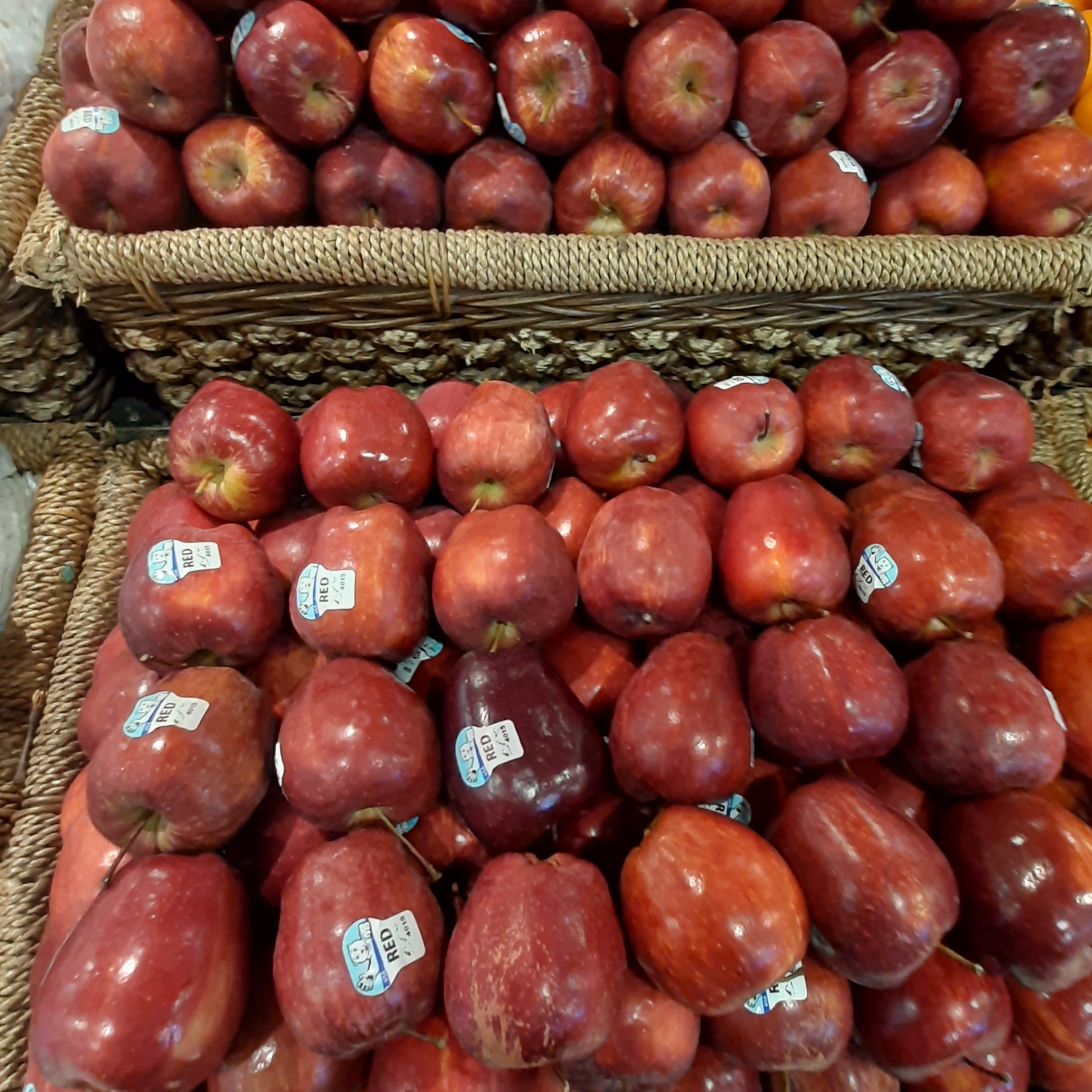 APEL MERAH USA 500 GRAM 2