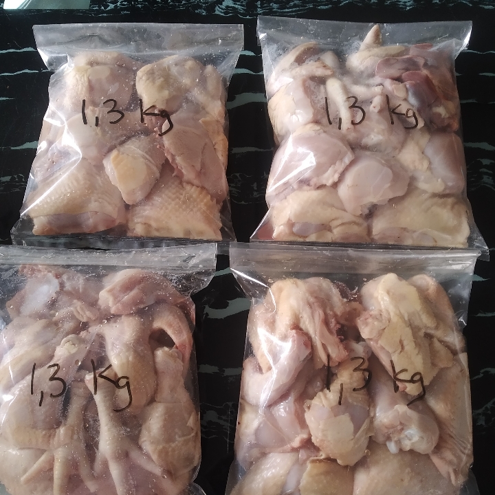 AYAM ORGANIK