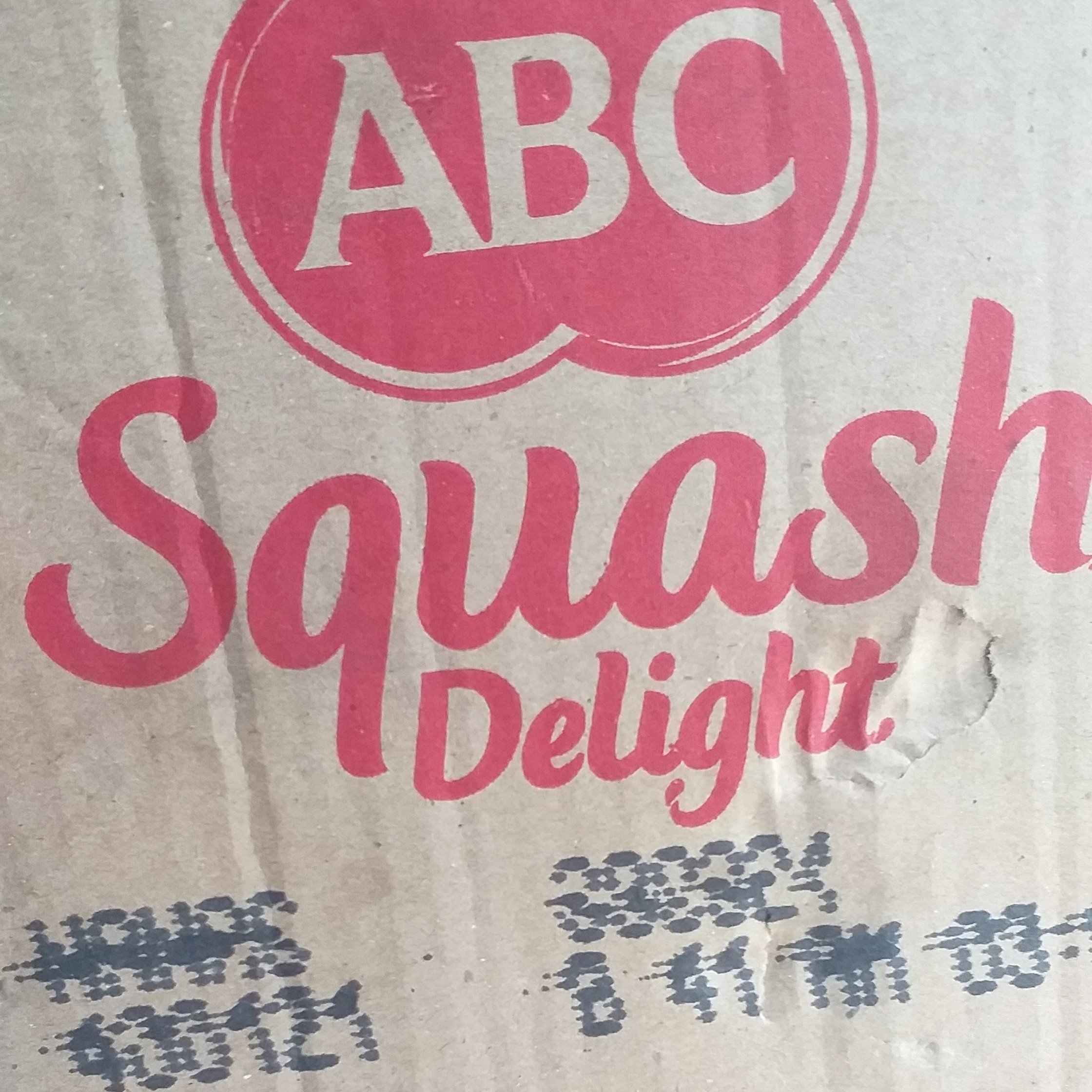 Abc Squash Delight