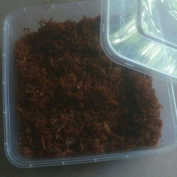 Abon Ayam Atau Abon Ikan