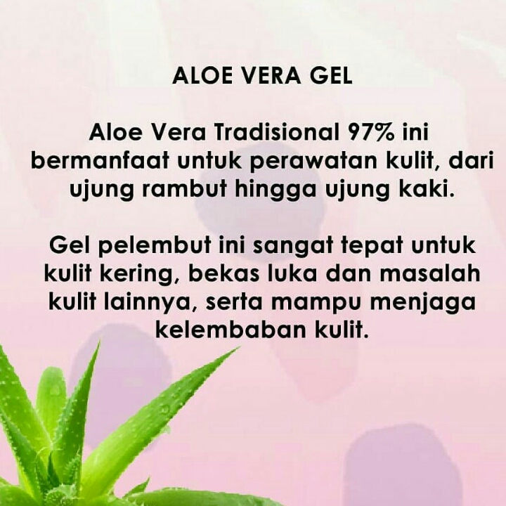 Aleovera Gel Tradisional 97 2