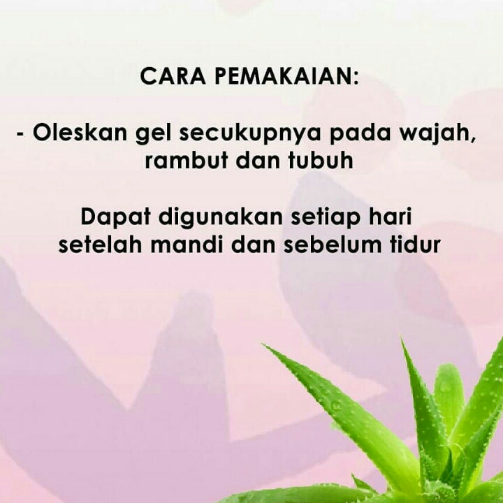 Aleovera Gel Tradisional 97 3