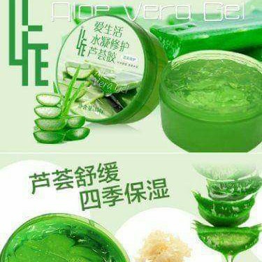 Aloe Vera Greenleaf  2