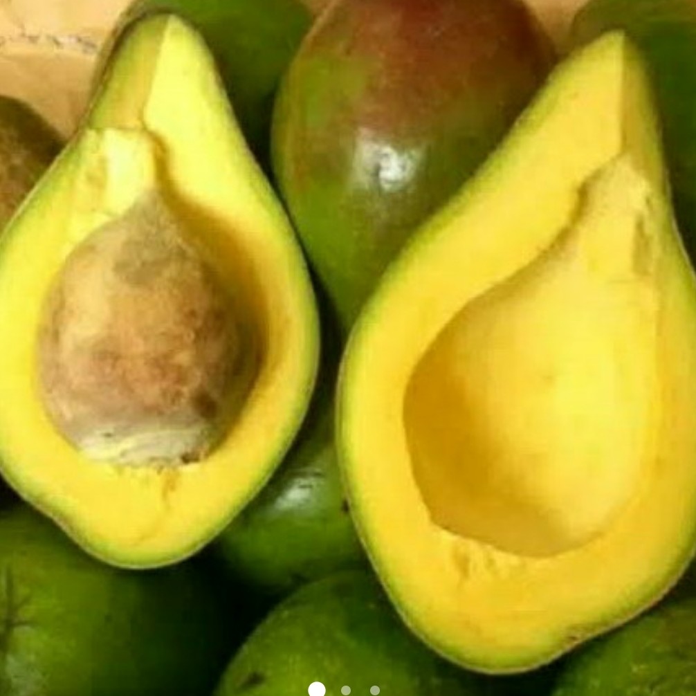 Alpukat 1 Kg