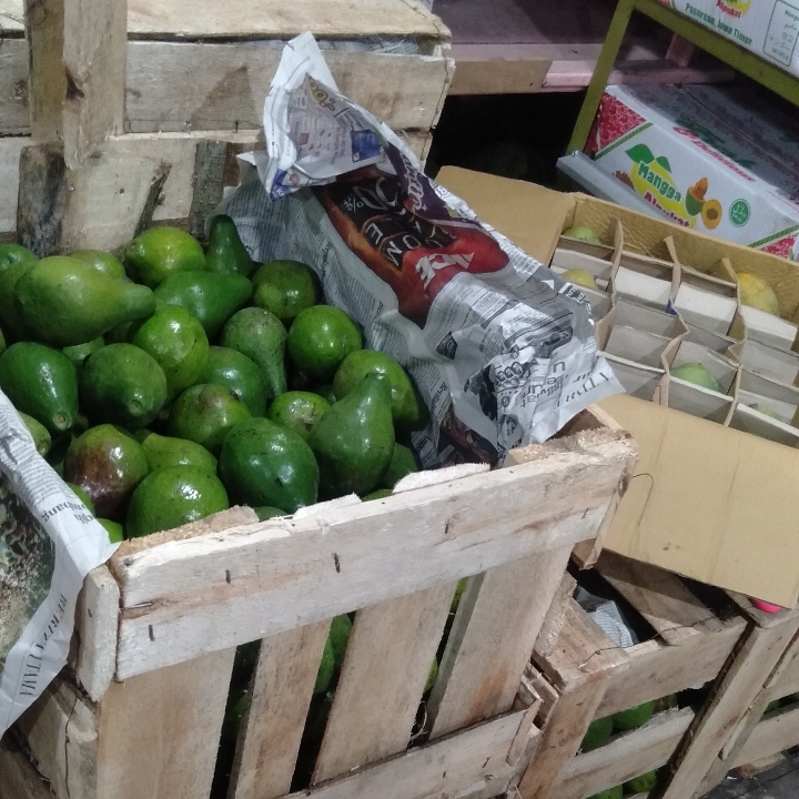 Alpukat Mentega