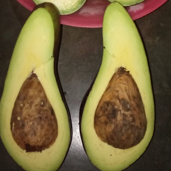 Alpukat Mentega 3