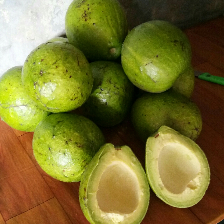 Alpuket 