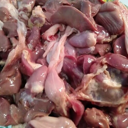 Ampela Ayam