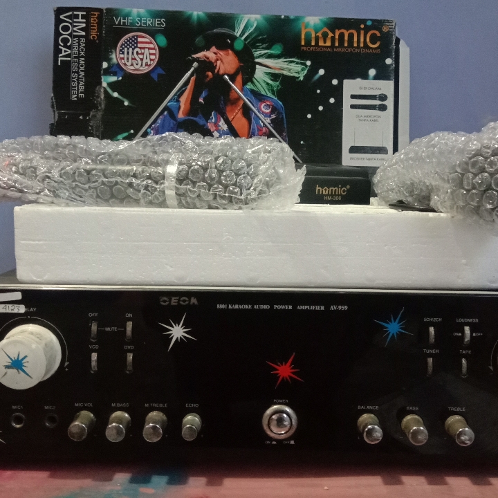 Ampli Dan Mice Werles 