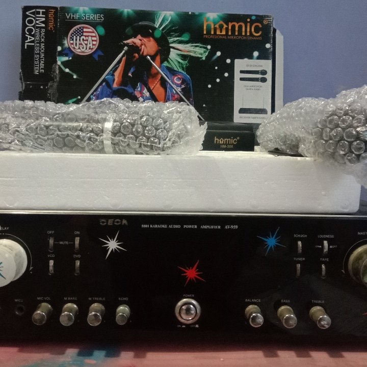 Ampli Dan Mice Werles