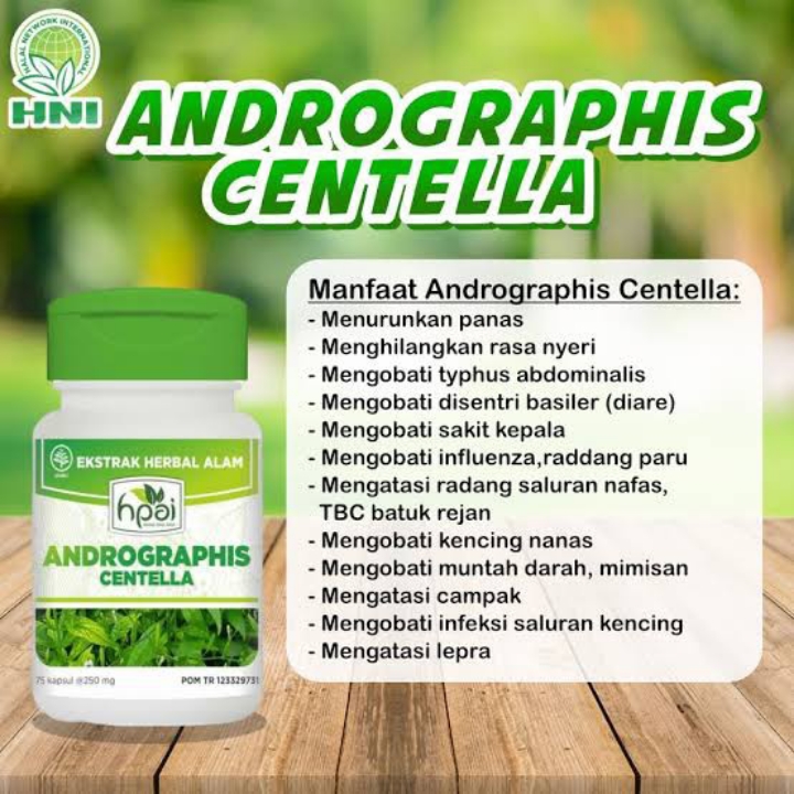 Andrographis Centella HNI 4