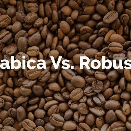 Aneka Arabica And Robusta