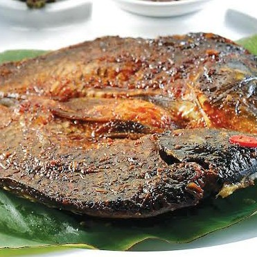 Aneka Ikan Ala September